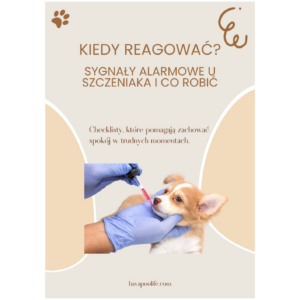 Kiedy reagować?