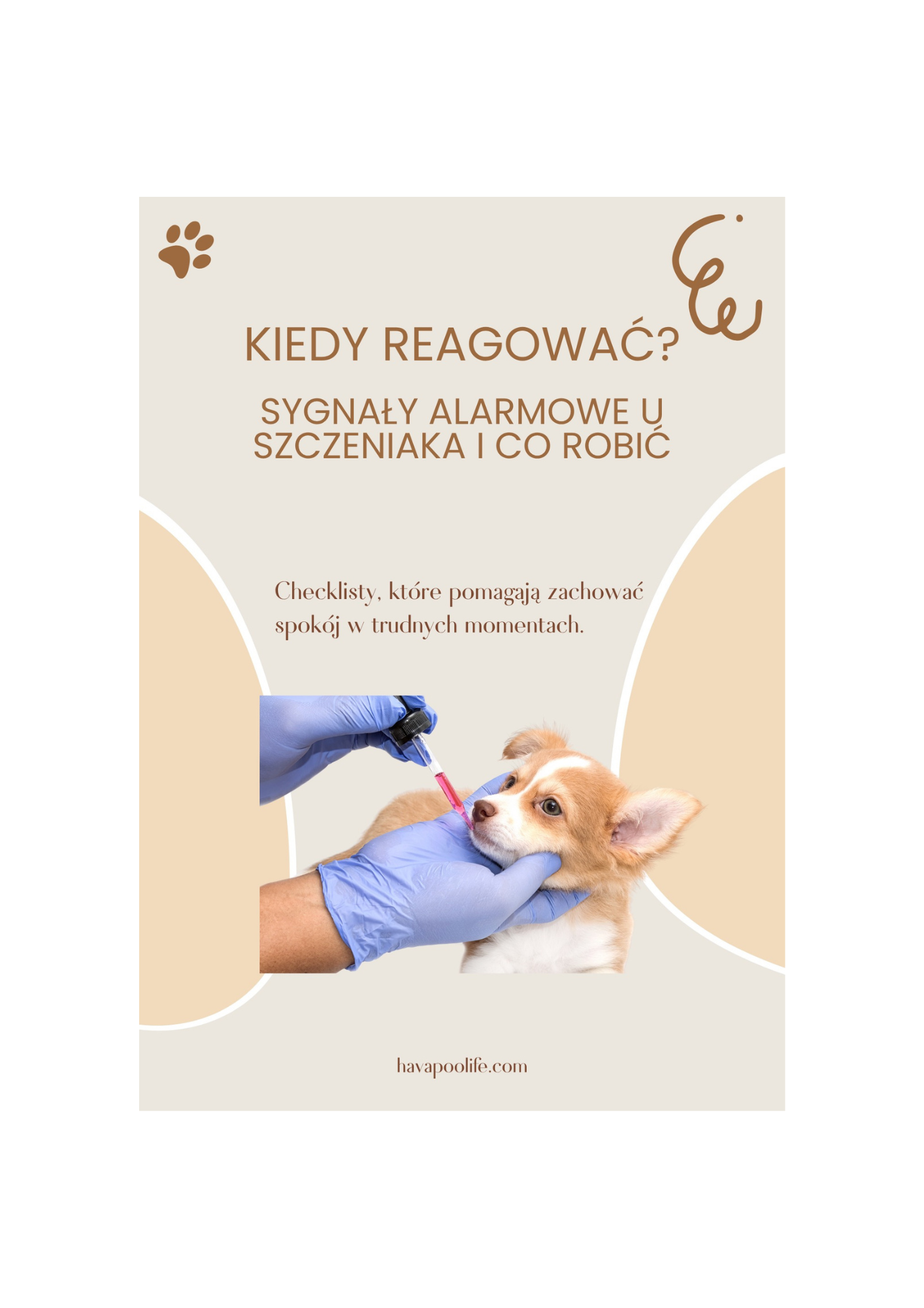 Kiedy reagować?