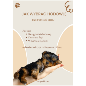 Jak wybrać hodowlę?