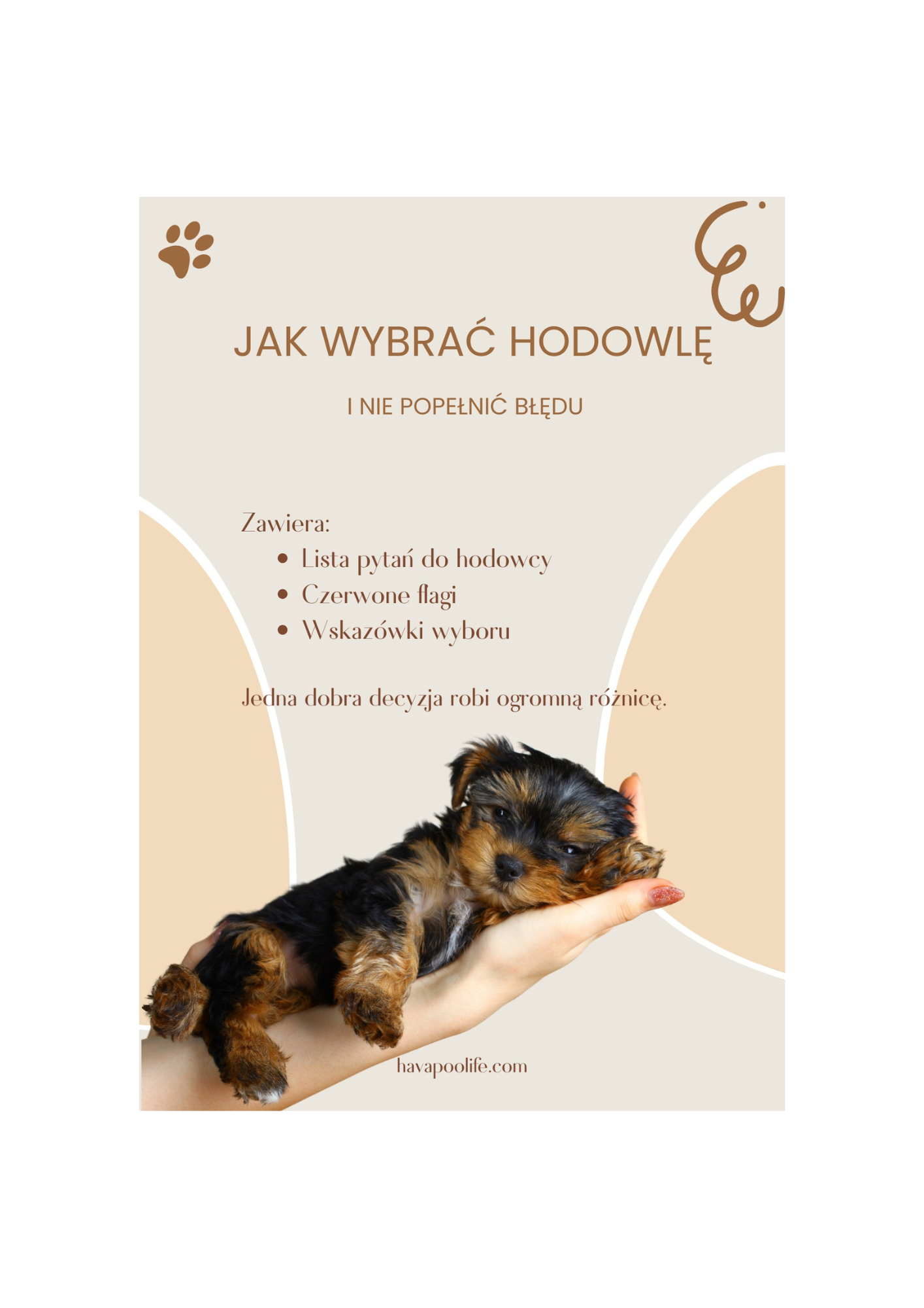Jak wybrać hodowlę?