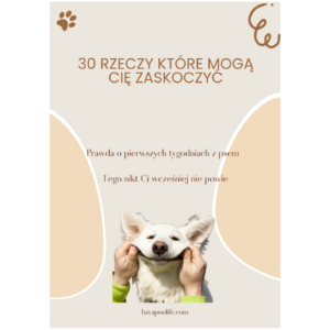 30 RZECZY KTÓRE MOGĄ CIĘ ZASKOCZYĆ